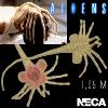 ALIENS - ALIEN FACEHUGGER OFFICIEL ECHELLE 1:1 (VERSION MOUSSE ET LATEX PAR NECA)